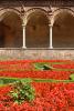Certosa di Pavia wirydaz 8324.jpg